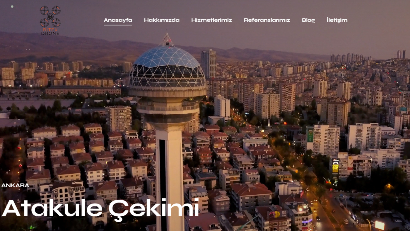 Web Tasarımı